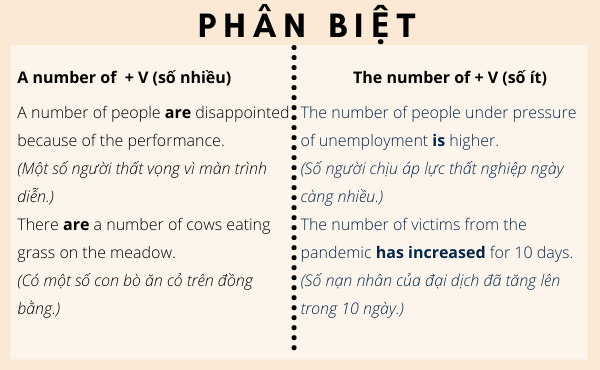 Phân biệt ‘a number of’ và ‘the number of’ chỉ với 10 phút