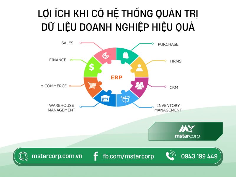 Hệ quản trị cơ sở dữ liệu: Chức năng, Phân loại và 13 DBMS phổ biến hiện nay