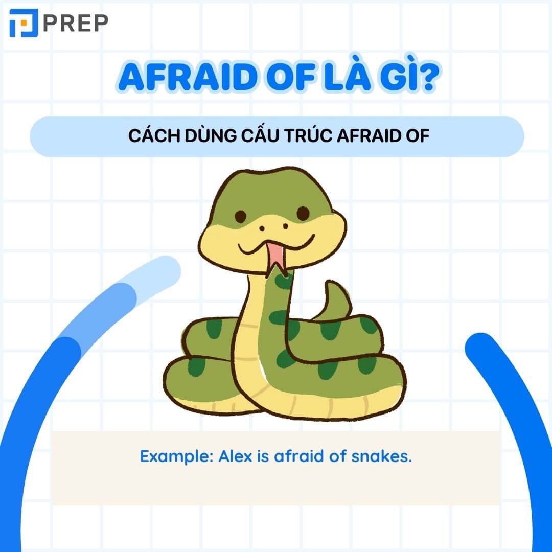 Cấu trúc Afraid of là gì? Kiến thức tiếng Anh chi tiết về Afraid of