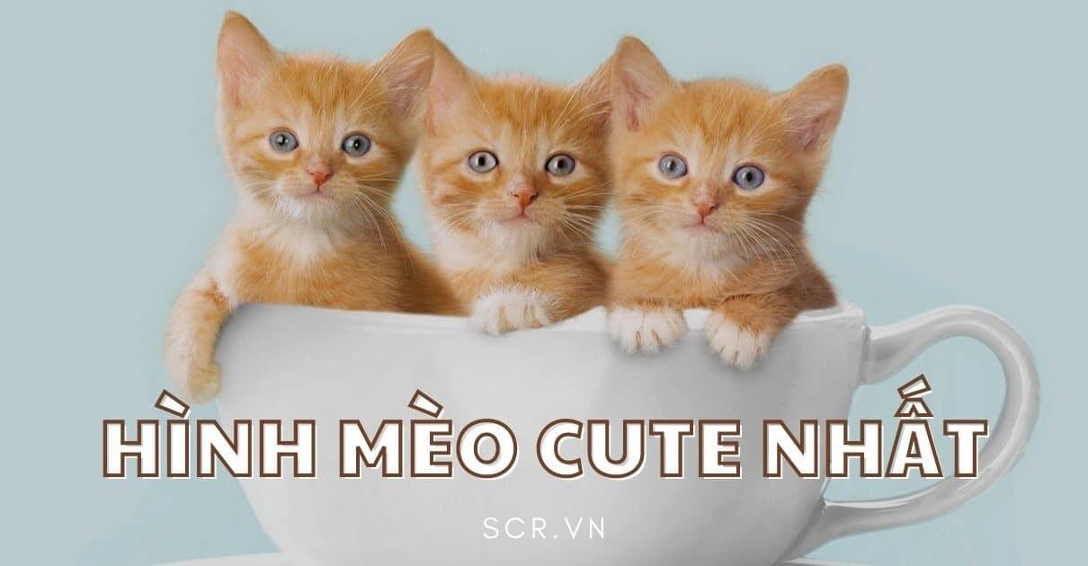 Ảnh Hoạt Hình Cute Top 1001 Hình Hoạt Hình Dễ Thương