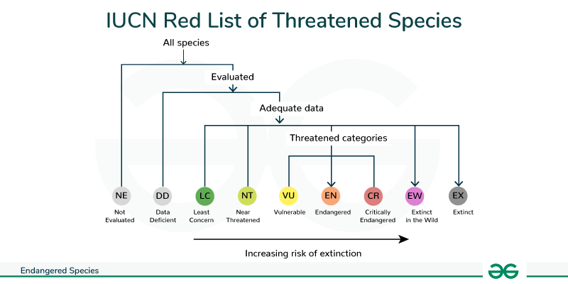 Endangered Species - Definition & List of Endangered Species