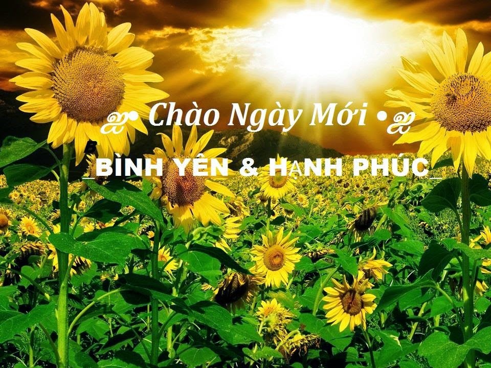 Ảnh chúc ngày mới tốt lành và đẹp mắt