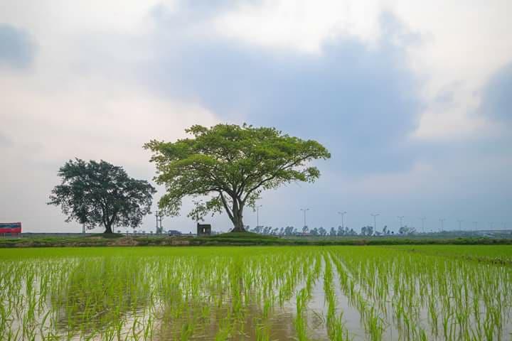 Những khoảnh khắc tĩnh lặng đẹp nhất