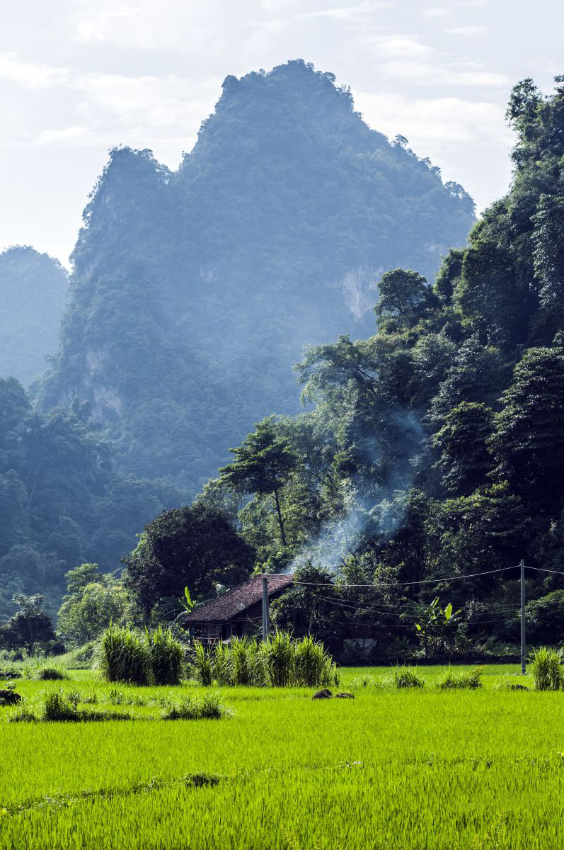 Những khoảnh khắc tĩnh lặng đẹp nhất