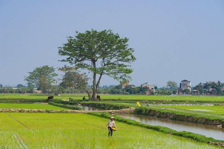 Những khoảnh khắc tĩnh lặng đẹp nhất