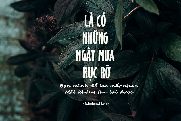 Bức ảnh về nỗi buồn, cô đơn, tình trạng tâm lý, chất lượng