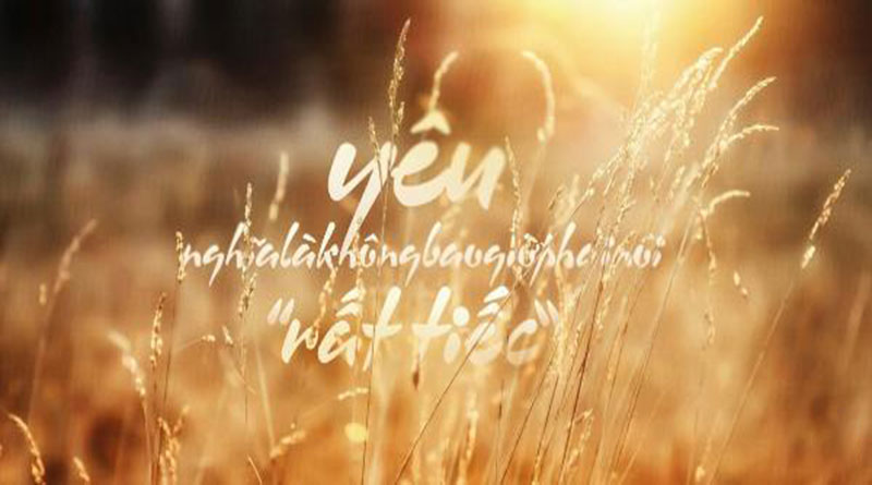 100+ Bức ảnh quotes buồn đẹp nhất