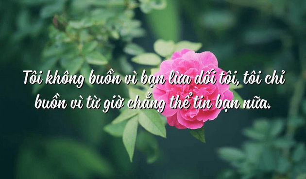 Bức ảnh về nỗi buồn, cô đơn, tình trạng tâm lý, chất lượng