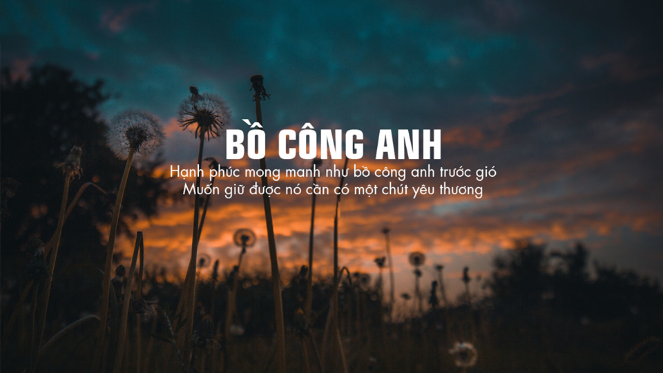 100+ Bức ảnh quotes buồn đẹp nhất