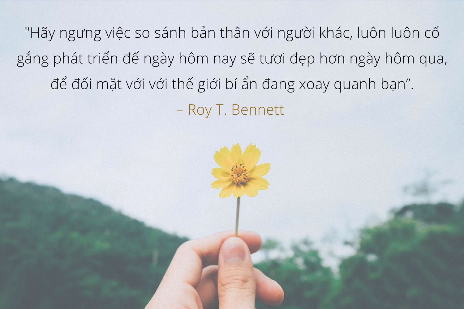 100+ Bức ảnh quotes buồn đẹp nhất