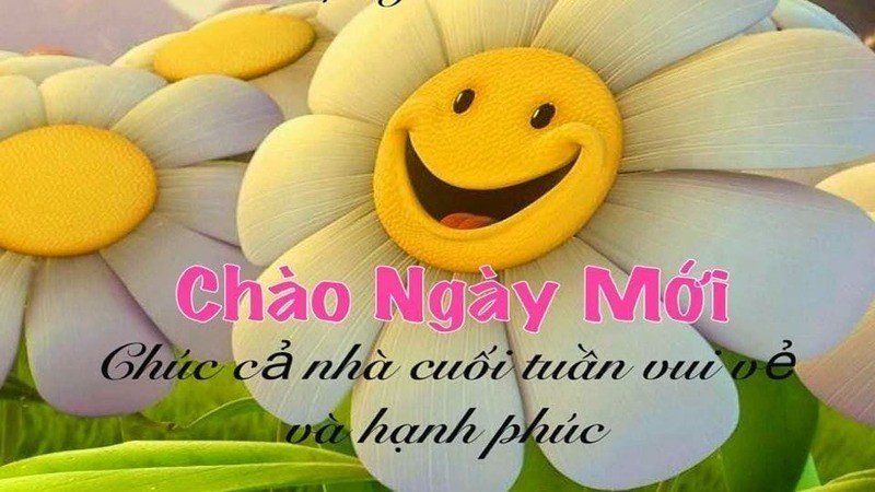 Hình ảnh chào ngày mới: Tổng hợp những bức ảnh dễ thương và đẹp nhất