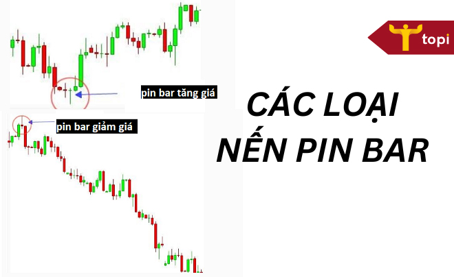 Nến pin bar là gì? Đặc điểm và cách giao dịch hiệu quả với nến pin bar