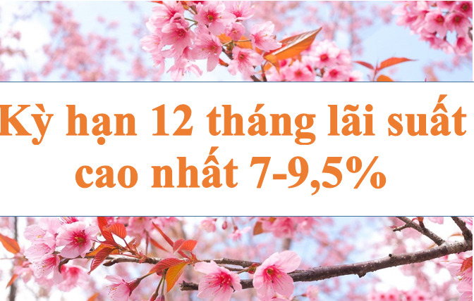 Lãi suất ngân hàng hôm nay 5.8: Kỳ hạn 12 tháng cao nhất 9,5%