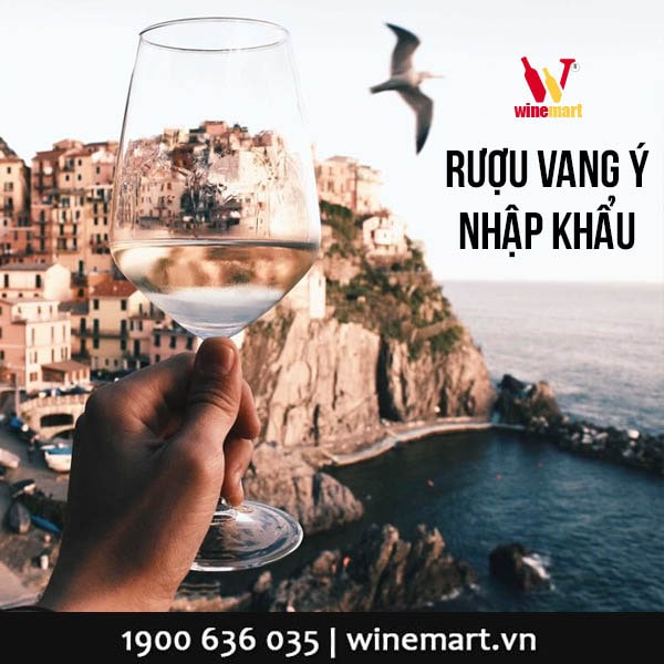 Rượu vang Ý cao cấp, nhập chính hãng