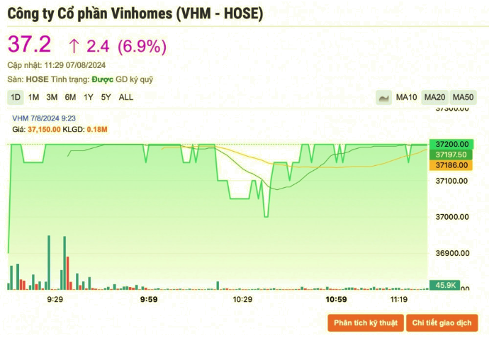 VHM: Vì sao cổ phiếu VHM 'tím lịm' từ đầu phiên giao dịch hôm nay?