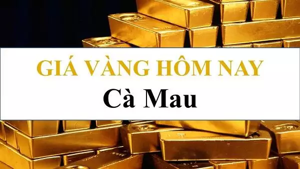 Giá vàng 24k, Giá vàng tây hội kim hoàn Cà Mau hôm nay 11/08/2024