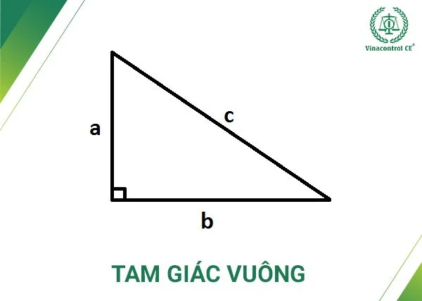 Tam giác là gì? Cách tính diện tích hình tam giác