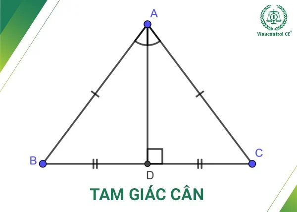 Tam giác là gì? Cách tính diện tích hình tam giác