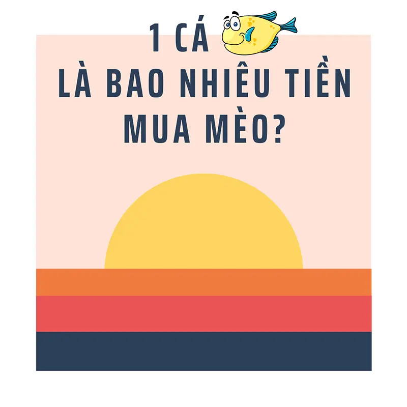 1 cá là bao nhiêu tiền mua mèo? 1 1 1x 2x 1.x 2.x 3.x là sao?