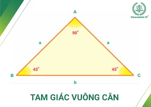 Tam giác là gì? Cách tính diện tích hình tam giác