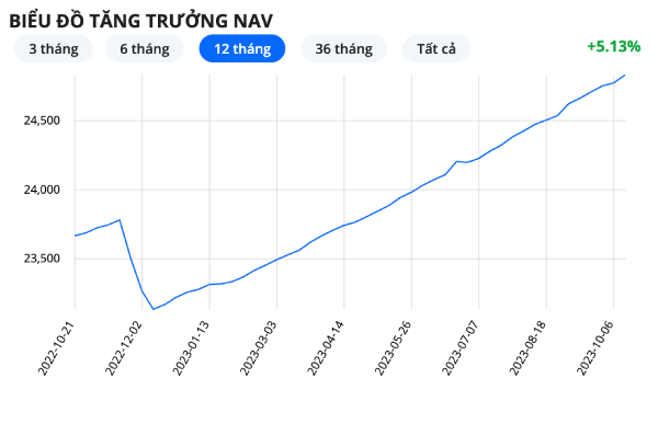 Chi tiết danh mục của Quỹ Dragon Capital - Có nên đầu tư vào quỹ Dragon Capital không?