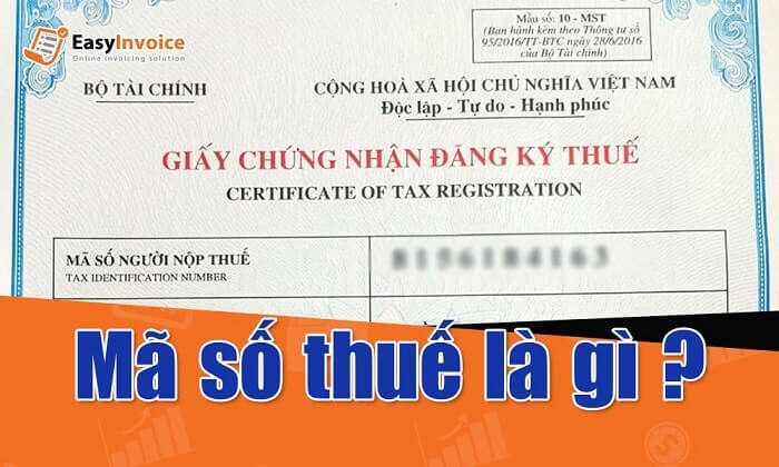 Mã số thuế là gì? Các loại MST và lưu ý khi sử dụng mã số thuế