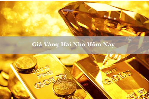 Giá vàng Hai Nho hôm nay: Cập nhật mới nhất 21/02/2024