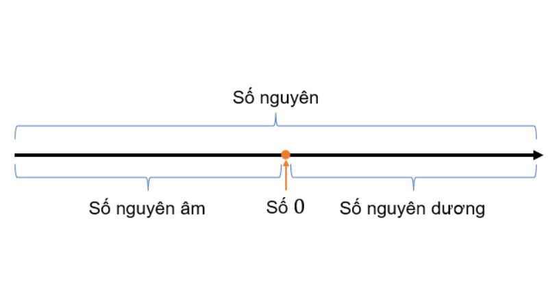 Số nguyên là gì? Số thực là gì?