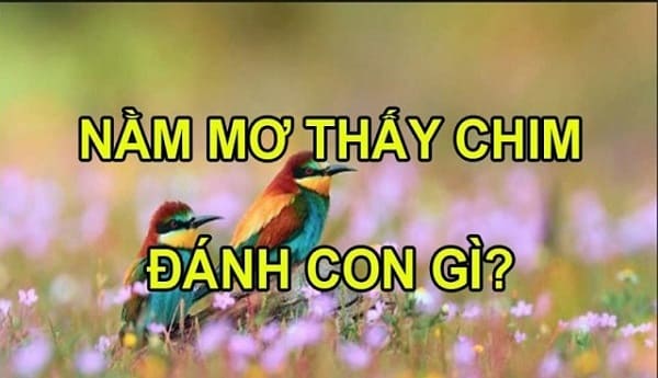 Số đề con chim số mấy? Mơ con chim đánh đề số mấy?