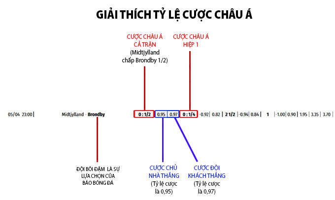 Kèo chấp 1/2 - Hiểu rõ tỷ lệ kèo để tăng khả năng thắng kèo - Bongdaplus.vn