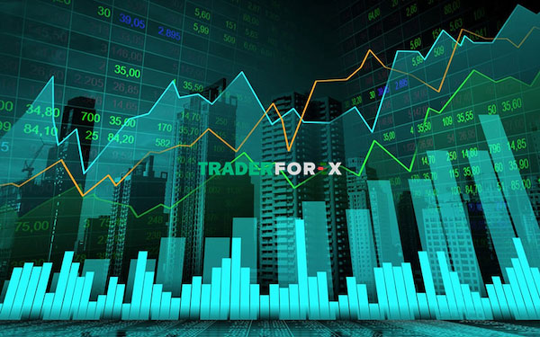 Top 10 sàn Forex uy tín - Các sàn giao dịch Forex tốt nhất 2024