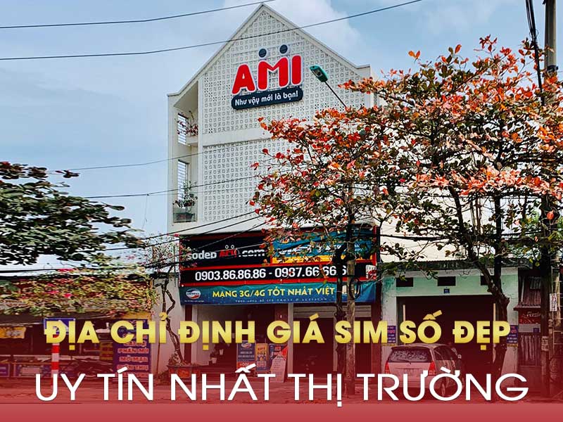 Định giá sim AMI 4.0