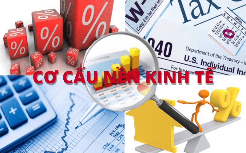 Cơ cấu nền kinh tế bao gồm?