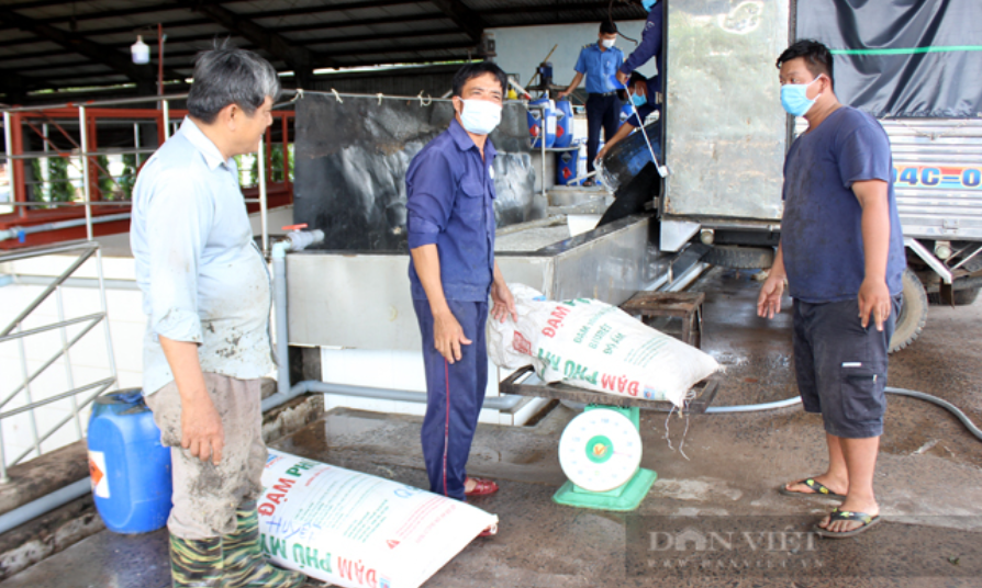 Giá mủ cao su tăng cao, nông dân phấn khởi sau thời gian dài chật vật