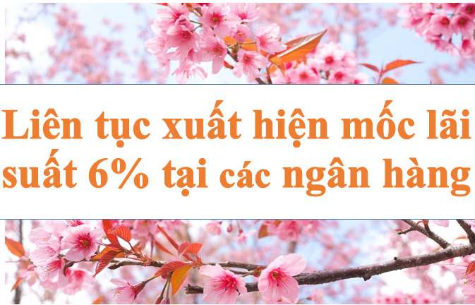 Lãi suất ngân hàng hôm nay 21.8: Liên tục xuất hiện mốc 6%