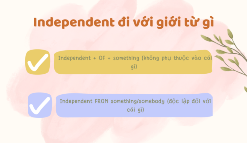 Independent Đi Với Giới Từ Gì? Cách Dùng Và Bài Tập Chi Tiết