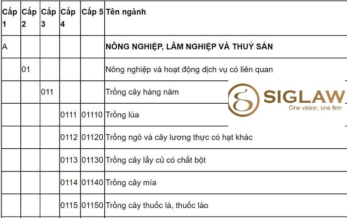 Tra cứu mã ngành VSIC & Các cấp hệ thống ngành kinh tế VN