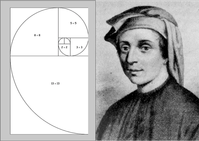 Bí ẩn về dãy Fibonacci và tỉ lệ vàng