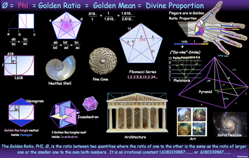 Bí ẩn về dãy Fibonacci và tỉ lệ vàng