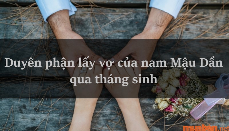 Luận giải tình duyên Mậu Dần nam 1998 lấy vợ tuổi gì thì hợp?