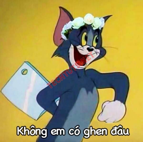 20+ Meme mèo cầm dao, meme mèo phóng lợn siêu hài hước