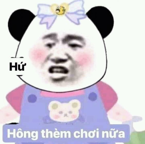 Bộ sưu tập meme không giới hạn, từ chối mọi thứ, và hết sức bựa