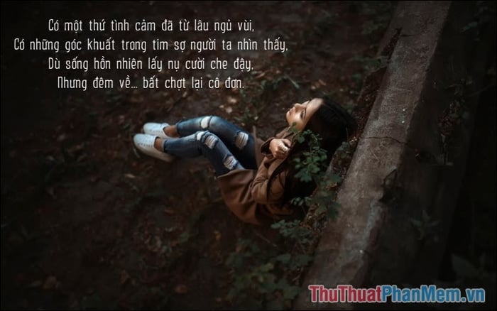 Những bài thơ buồn, tâm hồn sâu sắc