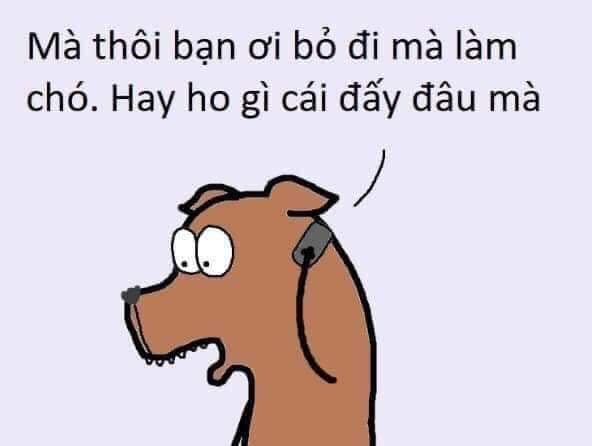 Bộ sưu tập meme không giới hạn, từ chối mọi thứ, và hết sức bựa