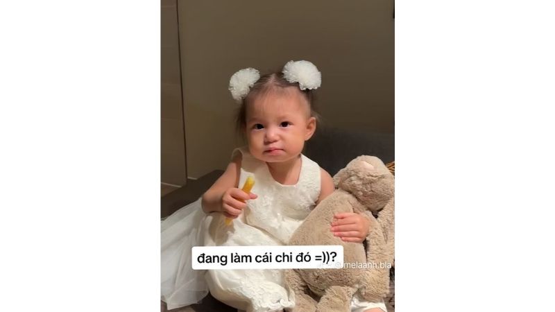 Tổng hợp 100 ảnh meme hài bựa, gây cười “bể bụng”