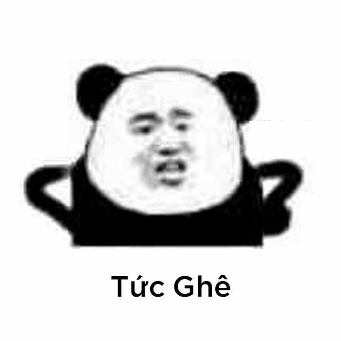 888+ meme gấu trúc bựa weibo cute, biểu cảm hài hước nhất