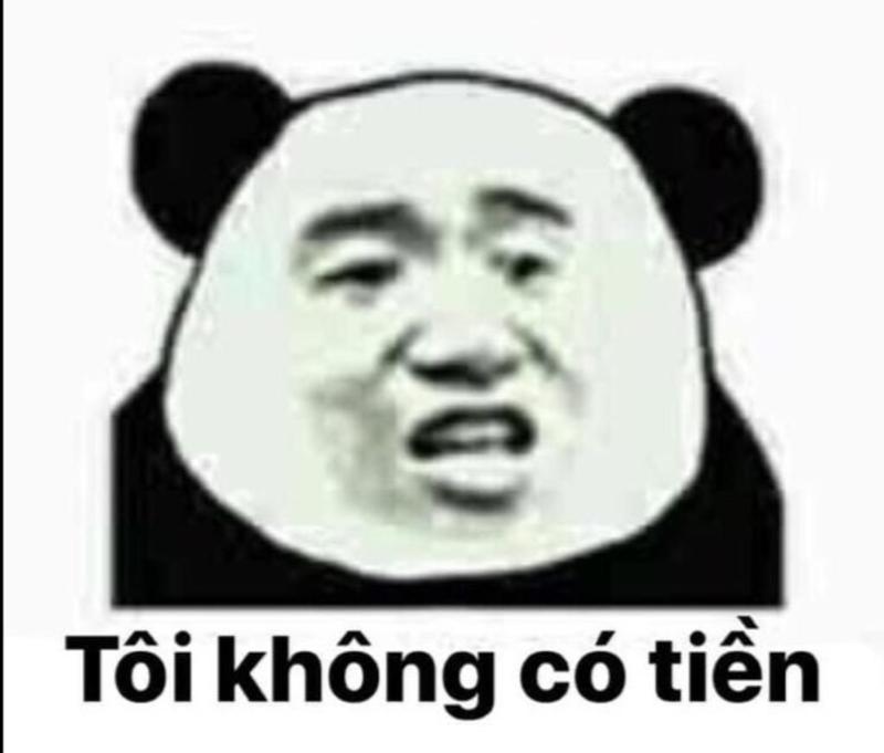 Meme gấu Trung Quốc và hải ly ấn tượng siêu hài hước