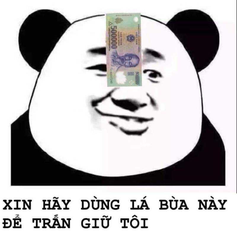 Meme gấu Trung Quốc và hải ly ấn tượng siêu hài hước