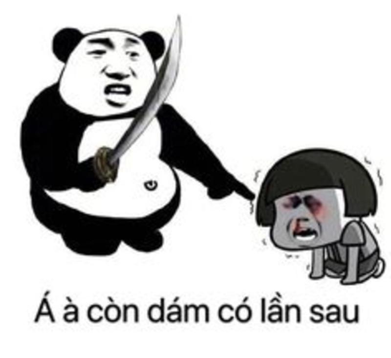 Meme gấu Trung Quốc và hải ly ấn tượng siêu hài hước