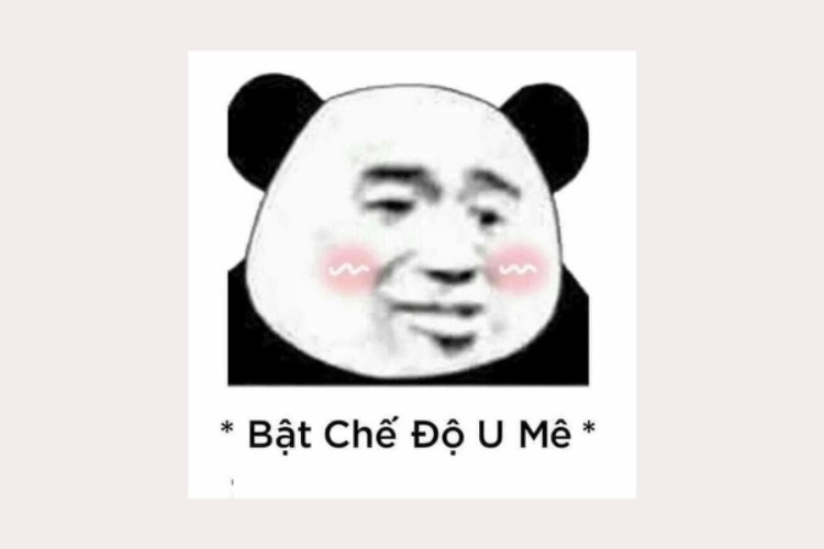 888+ meme gấu trúc bựa weibo cute, biểu cảm hài hước nhất